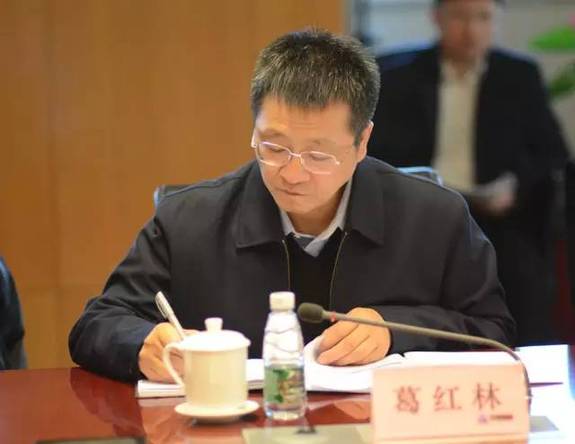 多面葛红林:从蓉城市长到中铝董事|净利润|上市