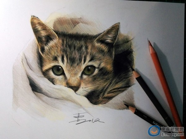 ▲猫咪栩栩如生。（图／台湾“东森新闻”）