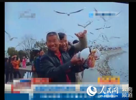 男子抓红嘴鸥拍照证据 昆明电视台视频截图