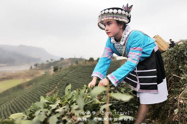 海葩苗的最美茶仙子：颜好心灵美