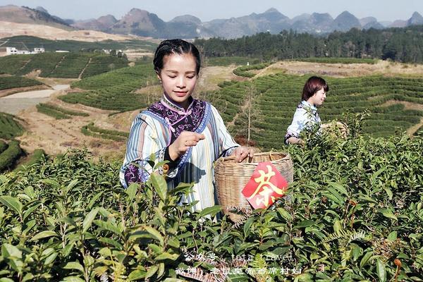 海葩苗的最美茶仙子：颜好心灵美