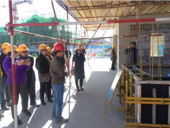 碧桂园官厅湖项目举办工地开放日活动获好评