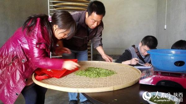 鲜叶收购现场。罗峰 汪金波 摄