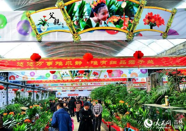 3月17日，长春君子兰节举行。本是个大风天儿，参观者、买花者却络绎不绝。王帝元 摄