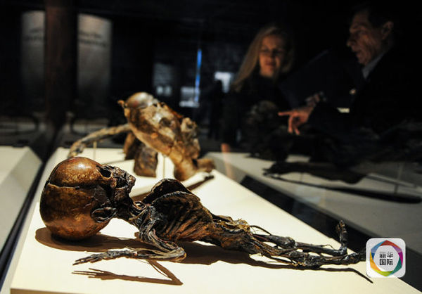 　　展出的一具儿童木乃伊。