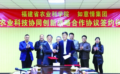 ? 省农科院和如意情集团签订农业科技协同创新战略合作协议。 朱毅力 摄