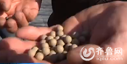 由于怕伤及他人母亲让周于涵平时用泥丸打弹弓。（视频截图）