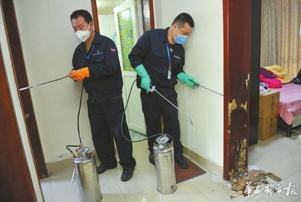 成都市白蚁防治所的工作人员在居民家中灭治白蚁。雷远东摄