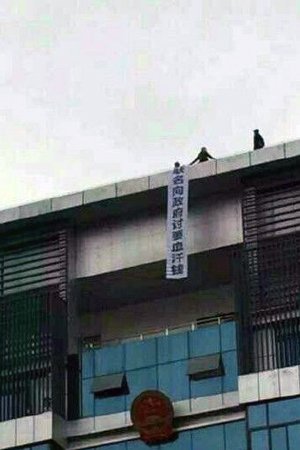 阆中政务中心楼顶有人垂下“讨薪标语”欲跳楼。图片来源网络