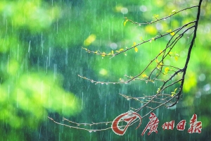 入春小心低气压|气象台|雷雨