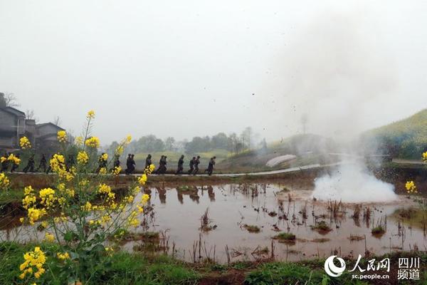 突击战术训练。（图片由武警四川总队报道员提供）