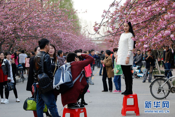 　　    3月27日，在中国科学技术大学东区的“樱花大道”上，游客在观赏樱花。图片来源：视觉中国