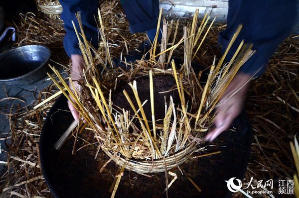 山茶籽碎末被装进踩油麸模具里。