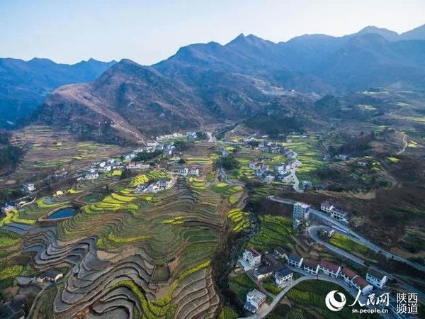 汉阴凤堰古梯田在春色中美不胜收。豆亚军 摄