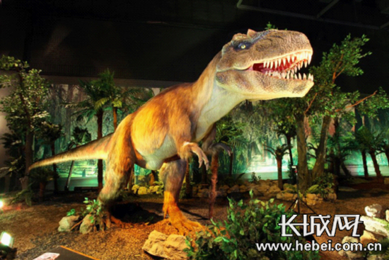 3d192ca0-55f7-4977-a71a-b65f8d61deca_size210_w550_h367.jpg