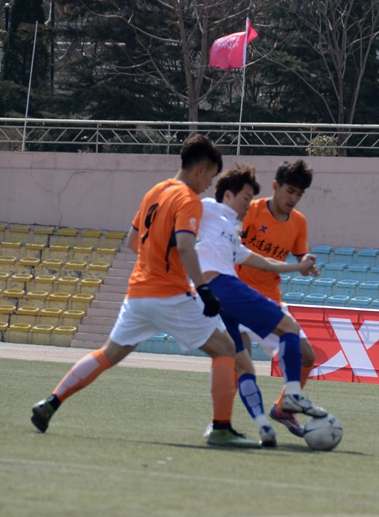 8所高校角逐大学生校园足球联赛辽宁赛区桂冠