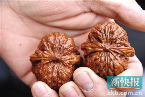 ■文玩核桃的一大好处在于可以随时握在手心上把玩。新华社发