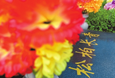 各地清朗过清明 用文明守护清明绿色祭祀渐成