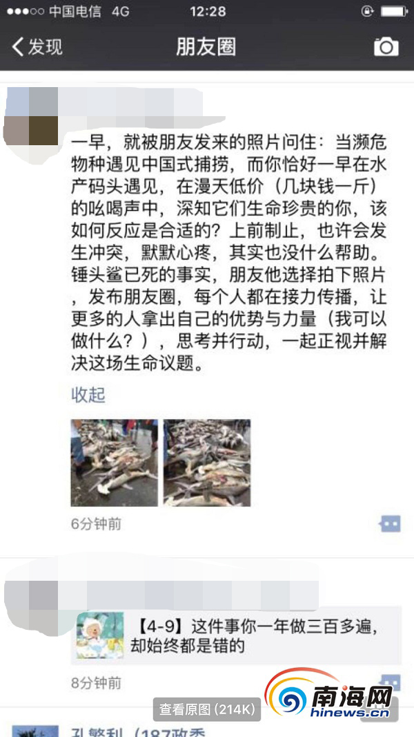 4月9日，有网友在朋友圈中发消息称，三亚水产码头当街低价售卖濒危保护动物锤头鲨。朋友圈截图