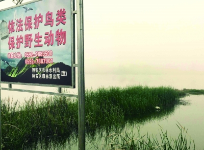 张埭桥水库边树立起的警示牌。