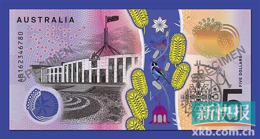 ■新版的5澳元纸币。    新华社发