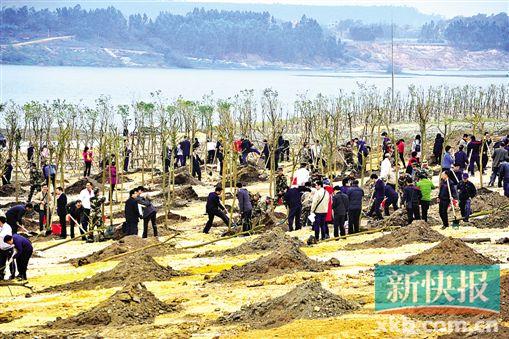 ■露天矿坑蓄水植树恢复生态。