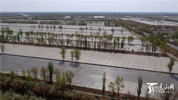 2016年4月12日在新疆生产建设兵团第二师30团航拍棉田的照片。