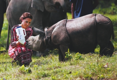 王妃与犀牛|印度|卡齐兰加_凤凰资讯