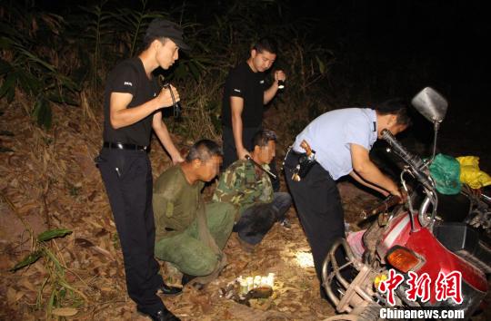 图为两名犯罪嫌疑人刚出保护区便被蹲守的民警抓获　解雄波　摄