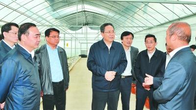 李锦斌在肥东县金色大地蔬菜专业合作社调研 记者 李亚朝 摄