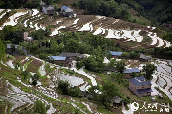 万亩梯田壮美如画。（苏忠国 摄）