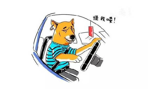 郑州某驾校教练与女学员聊天记录曝光!看完竟