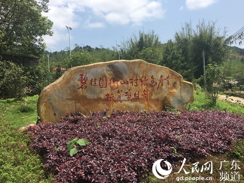 碧桂园树山村绿色产业扶贫项目立项石碑。 张倩婷 摄