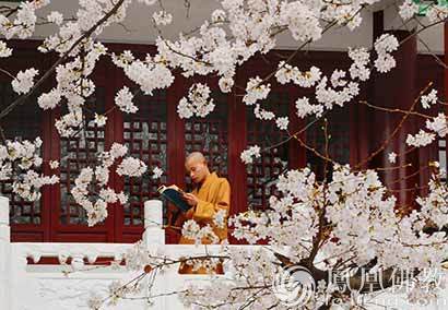 一日禅:生活永远是合理的 - 清 雅 - 清 雅博客