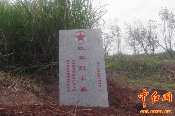 临武南强镇各村人口_临武南强中学(3)