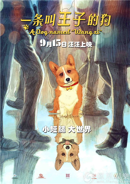 《一条叫王子的狗》发布海报  定档9·15萌动中秋