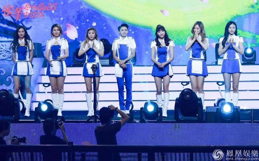 蜜蜂少女队 凤凰网