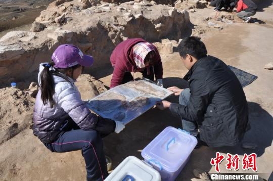 图为考古工作者现场揭取壁画。　陕西省考古研究院　摄