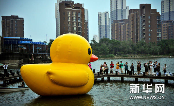 5月31日，迷你版橡皮“大黄鸭”亮相天津富力津门湖社区。新华网图片 张超群 摄