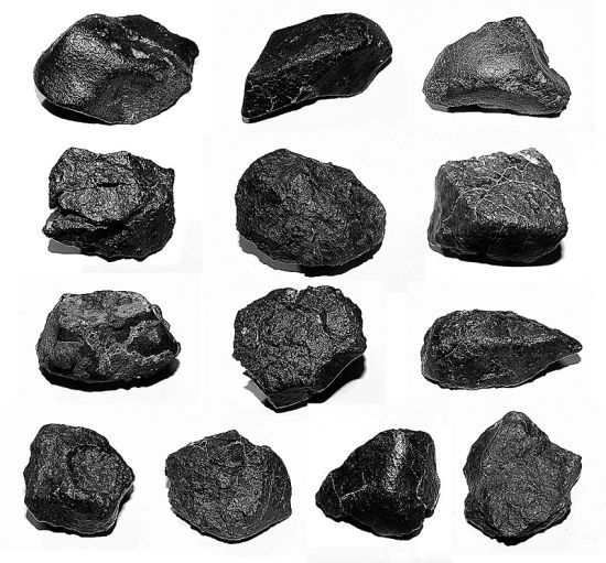 陨石猎人罗布泊猎到填补国际空白陨石