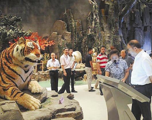 亞洲最大野生動(dòng)物標(biāo)本館落戶橫店 只因這里明星多