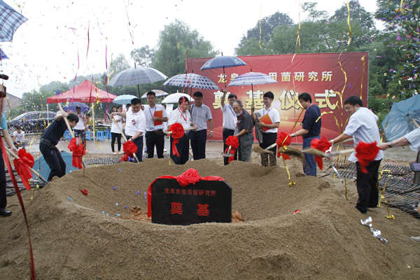 浙江龍泉成立食用菌研究所 打造新技術推廣平臺