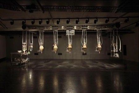 澳博物馆展大便机器 定时排便臭翻游客