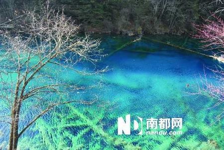 冬日九寨沟 水无常态大美至寂