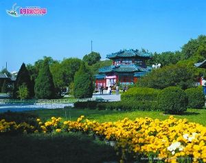 北京赏花好去处 中山公园唐花坞