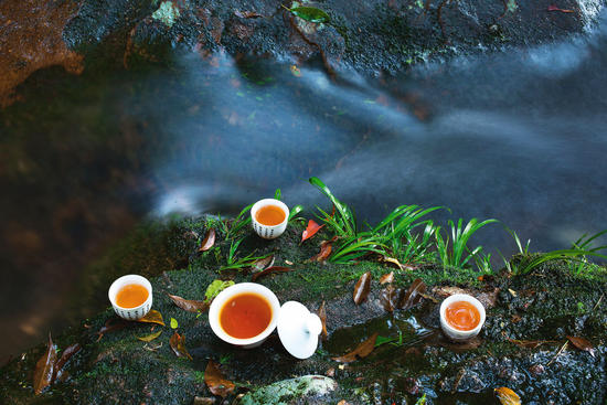 武夷山茶生活 难得的自然清新