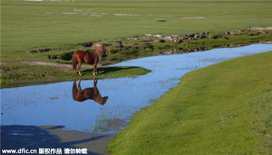 光看图片就凉快了 过一个20度的夏天