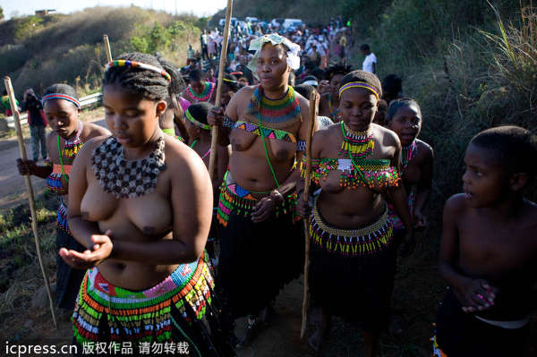 南非祖鲁族<em>男人</em>跳战舞<em>处女</em>露酥胸