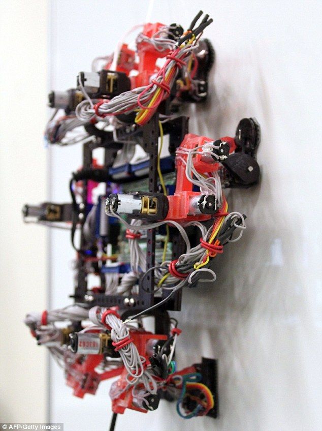 国外研发壁虎机器人 可维修清洁宇宙飞船(图)