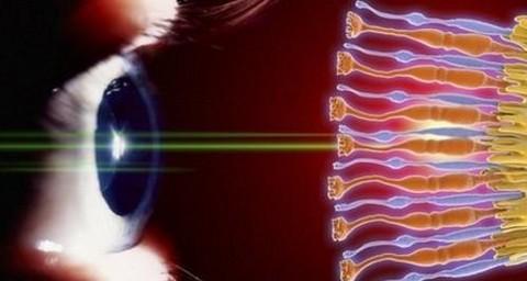 英国科学家发现可以通过使眼睛中提取的胶质细胞转化成视杆细胞,从而